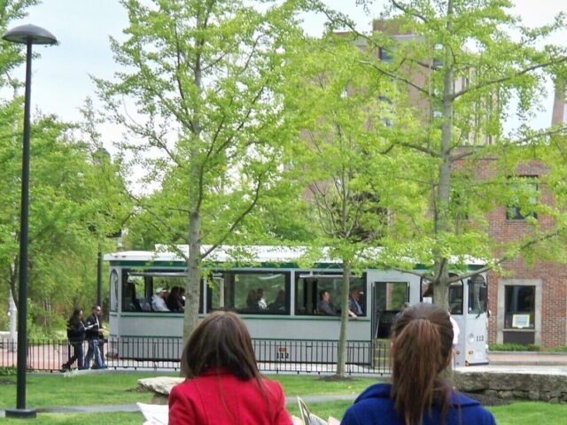 City View Trolley tours