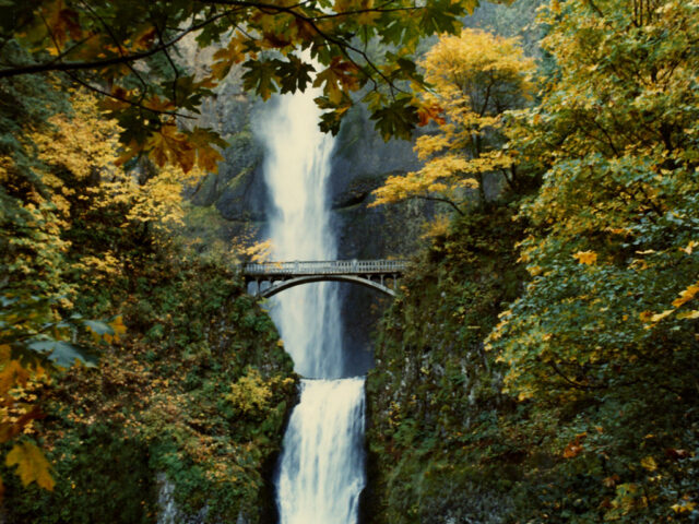 Waterfall Trolley