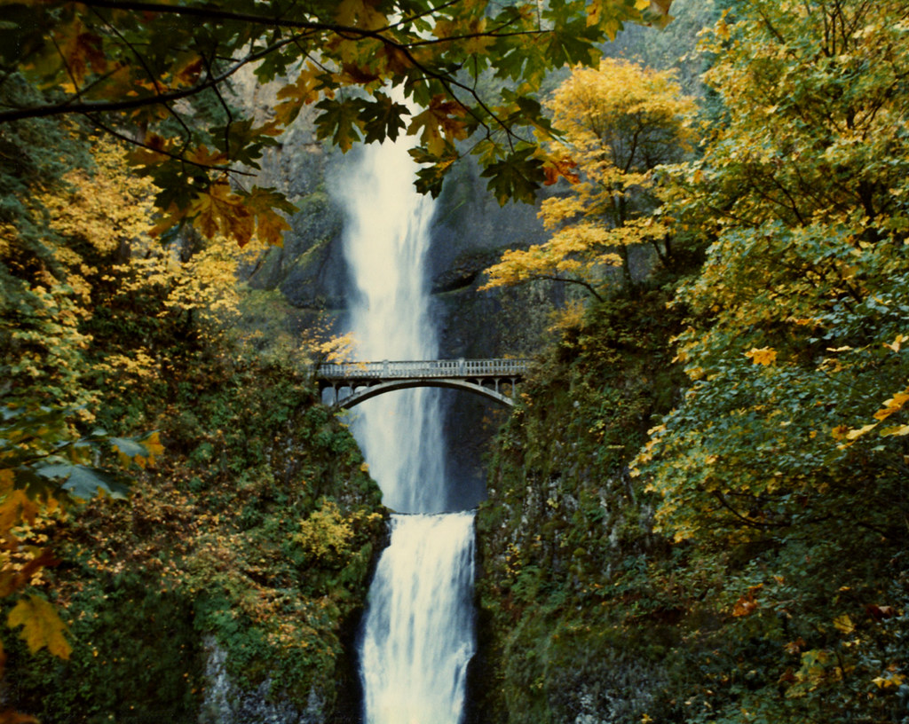 Waterfall Trolley